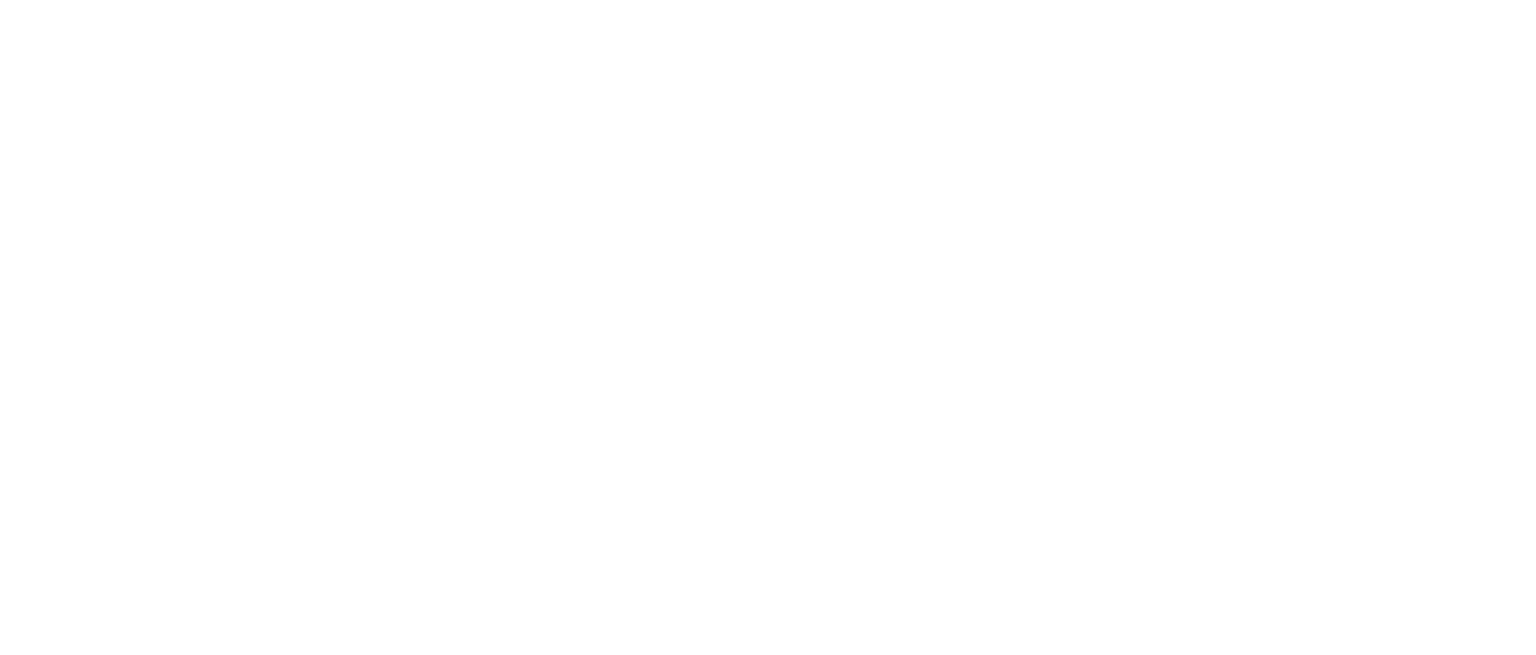 liquigas-white.png